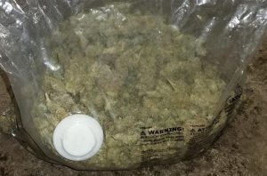 Duża torba foliowa z suszem marihuany