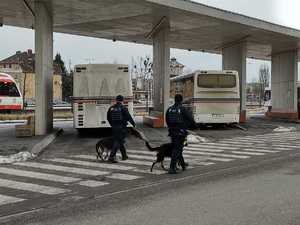 Dwóch policjantów z psami przechodzi po przejściu dla pieszych wzdłuż dworca autobusowego