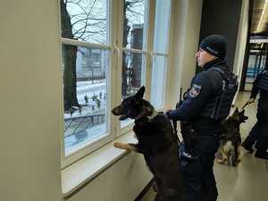 policjant z psem wyglądają przez okno budynku dworca