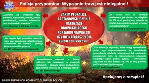 ulotka przedstawia zagrożenia wynikające z wypalania traw