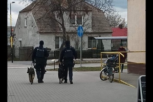 przewodnicy psów służbowych - 2 policjantów ze swoimi psami, idą chodnikiem przy ul Jeżyka w Wągrowcu