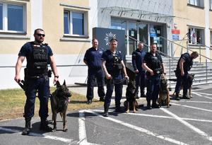Policjanci z psami stoją przed budynkiem komendy