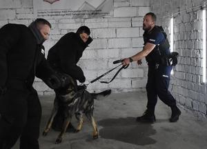 policjant z psem i dwóch pozorantów, którzy szarpią się z policjantem