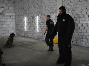 policjant wykonuje czynność przeszukania, pies po poleceniu siedzi i patrzy na czynność