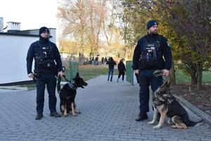 dwóch policjantów z psami stoją przy bramie wejściowej do stadionu