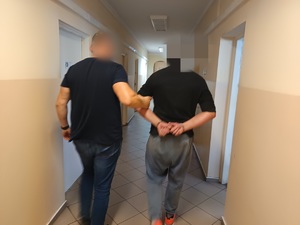 Policjant prowadzi korytarzem zatrzymanego przestępcę, zatrzymany ma ręce skute kajdankami na tył