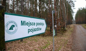 znak w lesie pokazujący parking