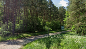 widok na wjazd do lasu ze znakami