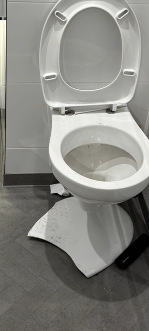 zdjęcia zniszczonych drzwi, toalety, wyposażenia kuchni, pokoju i zatrzymanego prowadzonego przez policjanta