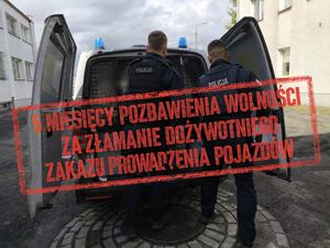 grafika policjantów wyciągających zatrzymanego z pojazdu typu bus i napis 5 miesięcy pozbawienia wolności za łamanie sądowych zakazów
